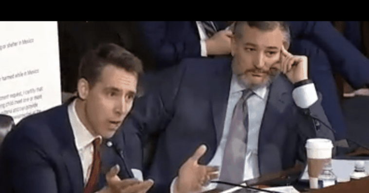 Ted Cruz And Josh Hawley Brilliant Grilling Of Mayorkas The