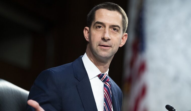 WATCH: Tom Cotton BLISTERS Demonstrators, ‘Little Gazas,’ and Seriously ...